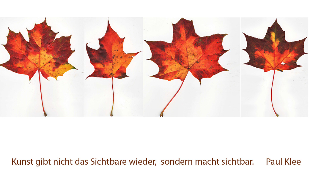 Zitat Klee